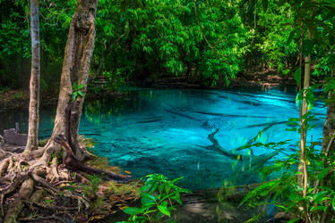 Similar image 20070979