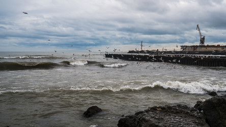 Similar image 19946903