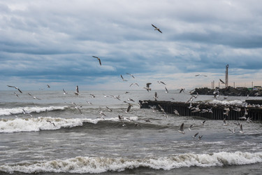 Similar image 19946917