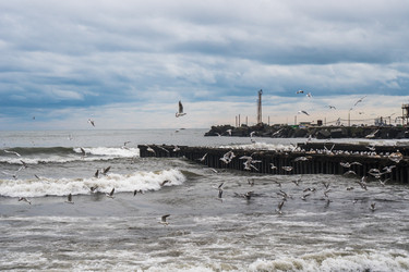 Similar image 19946921