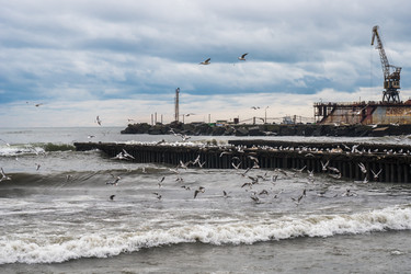 Similar image 19946940