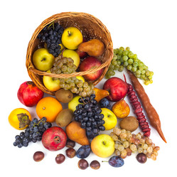 Similar image 19946776