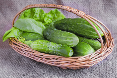 Similar image 20158478