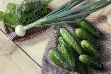 Similar image 20158503