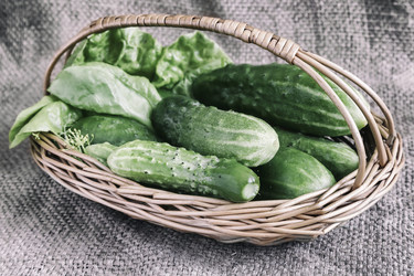 Similar image 20158504