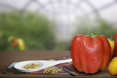 Similar image 20158552