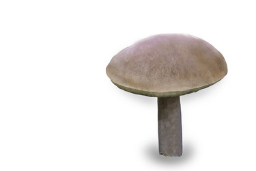 Similar image 20162306