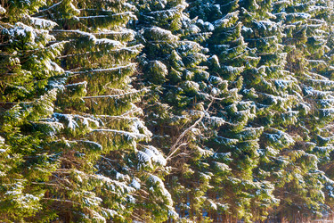 Similar image 20071058