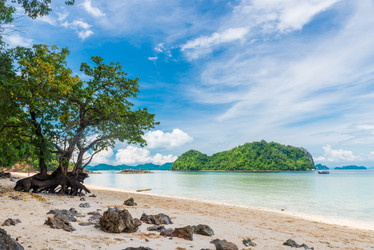 Similar image 20071066