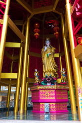 Similar image 20071068