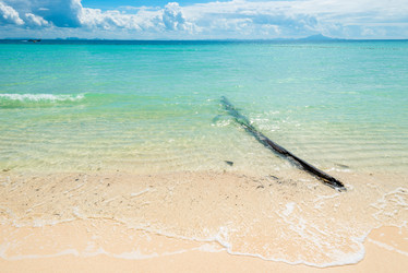 Similar image 20071085