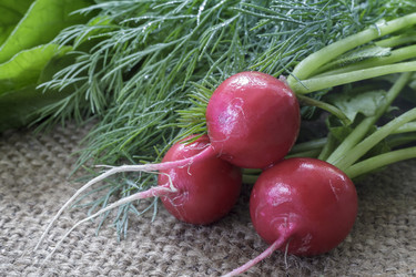 Similar image 20158589