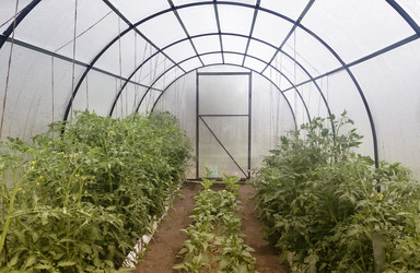 Similar image 20158462