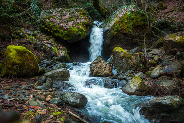 Similar image 19946574