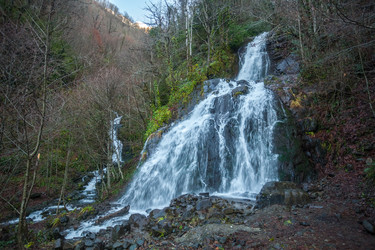 Similar image 19946572