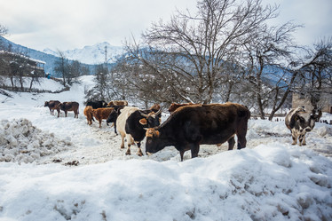 Similar image 19946575