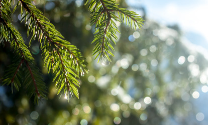 Similar image 20194731