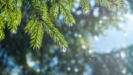 Similar image 20194748