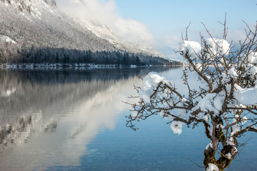 Similar image 20194774