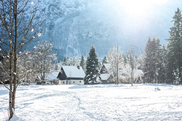 Similar image 20194780