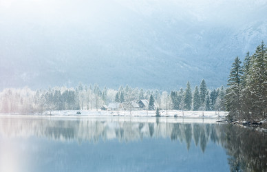 Similar image 20194782