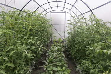 Similar image 20158559