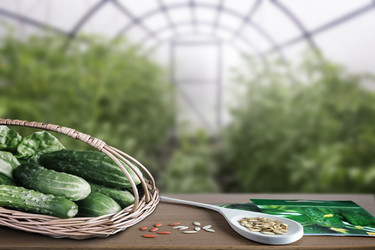 Similar image 20158561