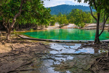 Similar image 20071144