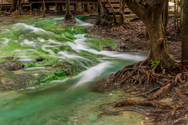 Similar image 20071223