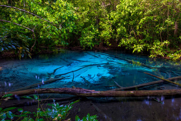 Similar image 20071261