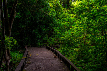 Similar image 20071262