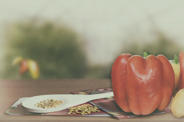 Similar image 20158515