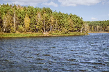 Similar image 20161088