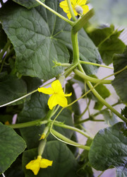 Similar image 20158579