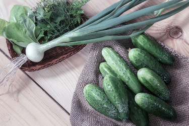 Similar image 20158569