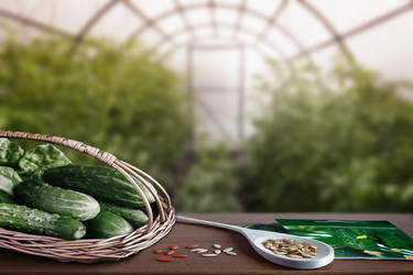 Similar image 20161095