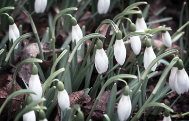 Similar image 20158483