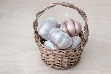 Similar image 20158525