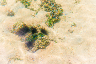 Similar image 20071292