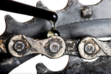 Similar image 20071303