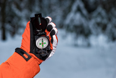 Similar image 20071304