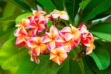 Similar image 20071334