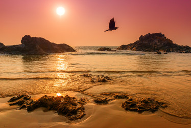 Similar image 20071381