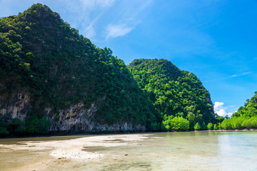 Similar image 20071386