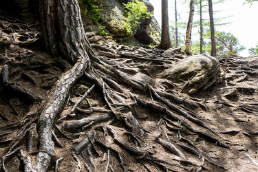 Similar image 20171173