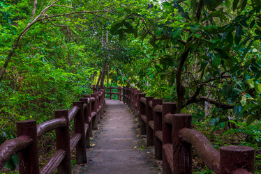 Similar image 20071470