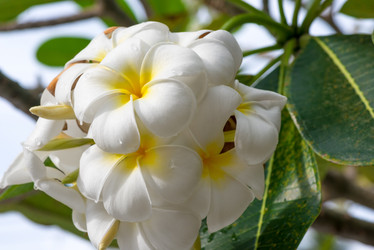 Similar image 20071472