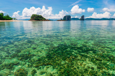 Similar image 20071557