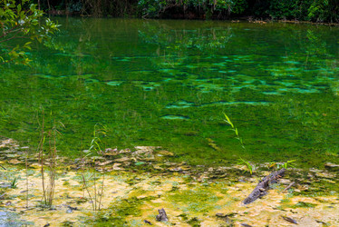 Similar image 20071577