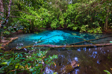 Similar image 20071582